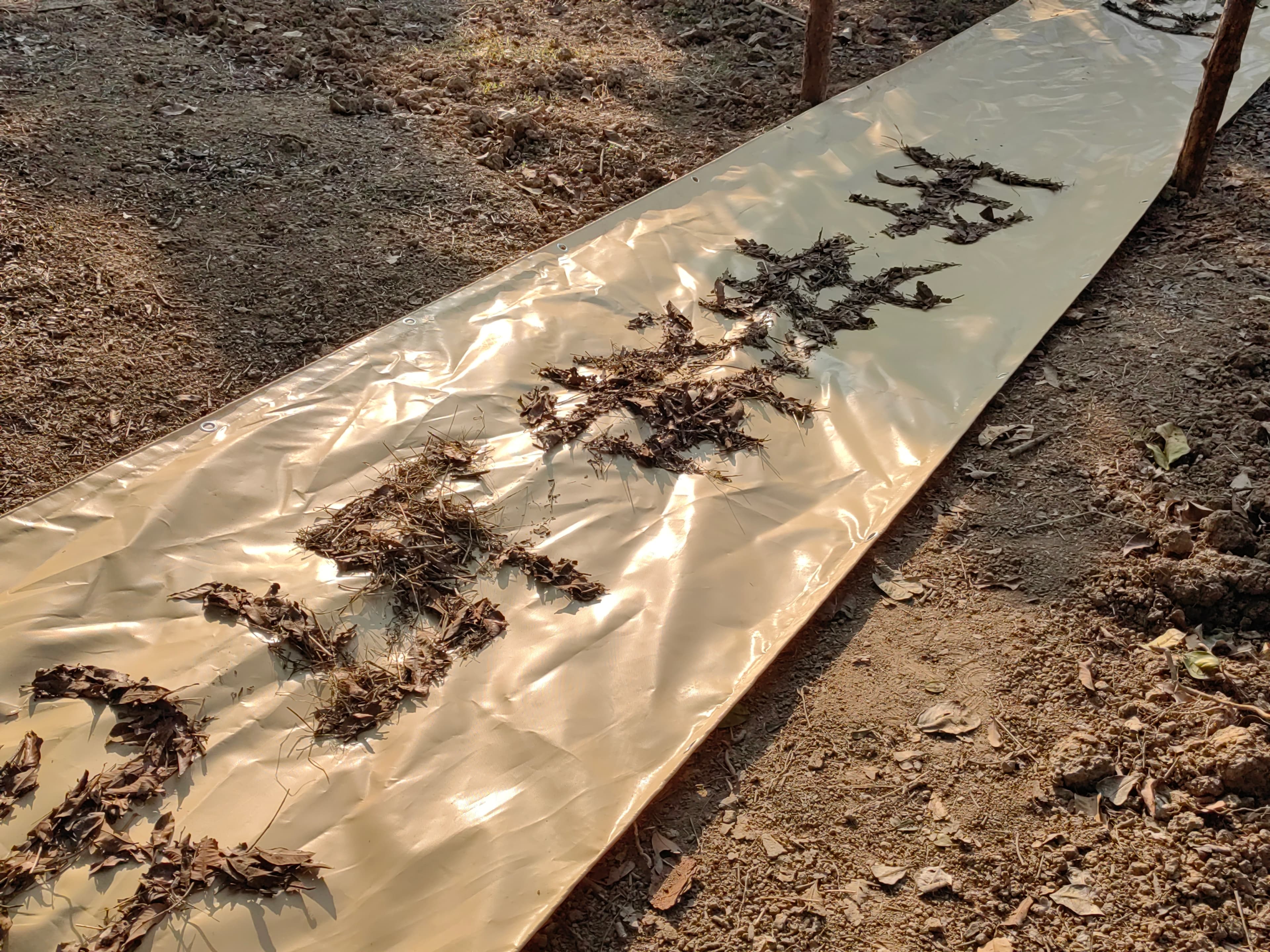 A Poem Sewn into Nature