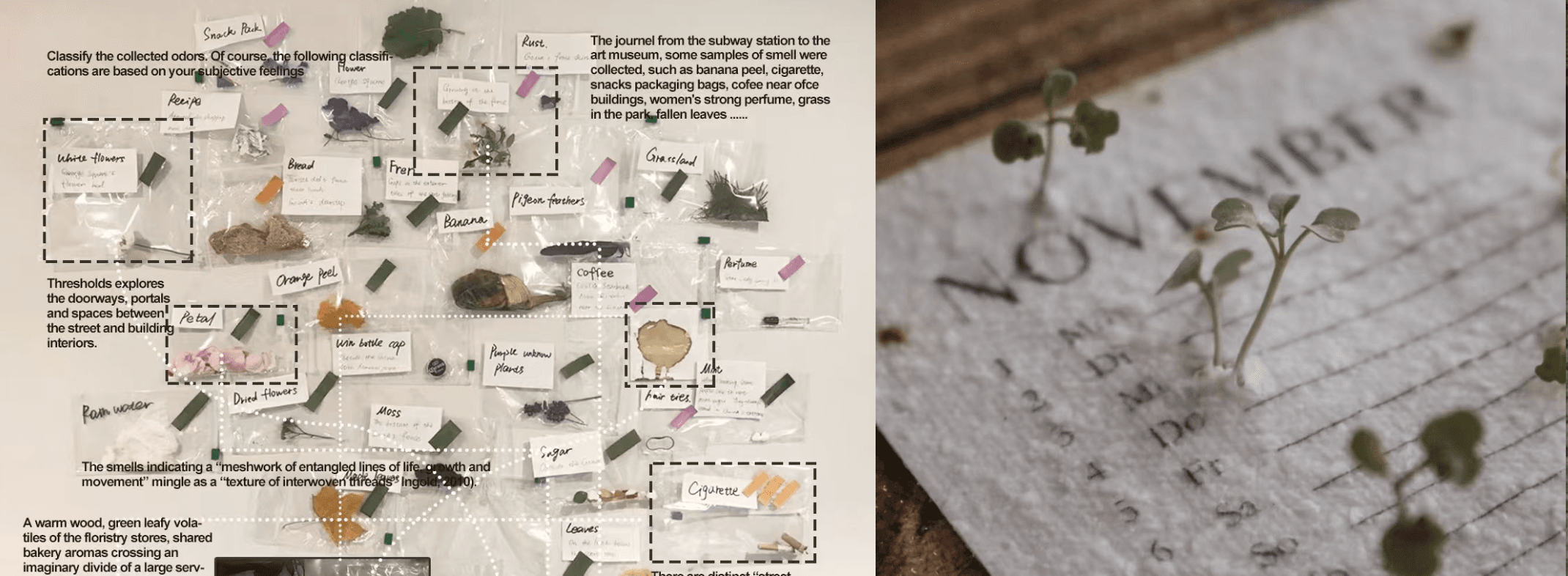project finding samples